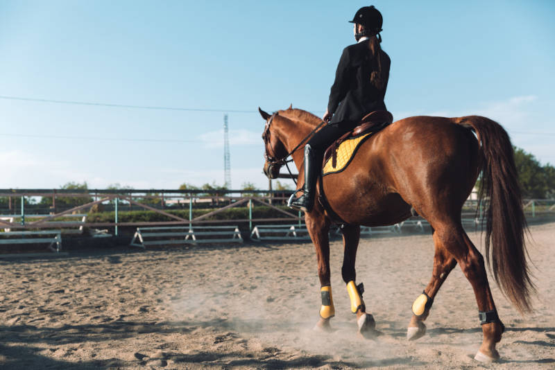 A rider in formal attire riding a brown horse in an outdoor arena.