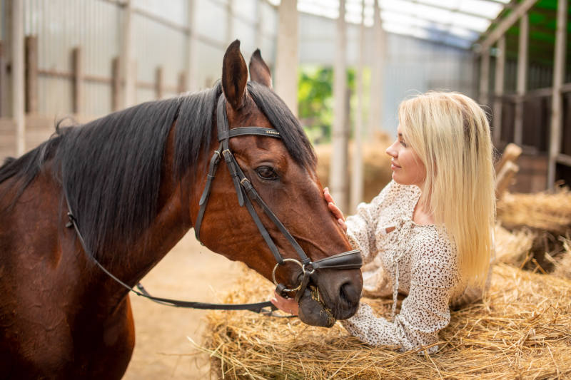 A young rider woman blonde with long hair in a dress posing with brown horse inside light stable, Russia A woman with blonde hair pets a brown horse inside a stable, both appearing calm and content. She is leaning on a pile of hay, gently touching the horses face as sunlight streams in.