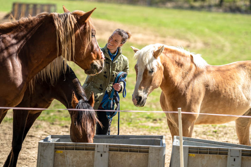A woman holding a rope stands outdoors between two horses near feeding troughs, smiling as she interacts with the animals on a sunny day.