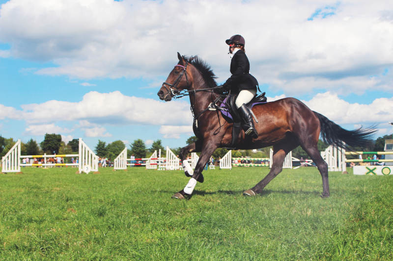 Female show jumper riding a bay horse during a grass field competition with jump fences in the background.