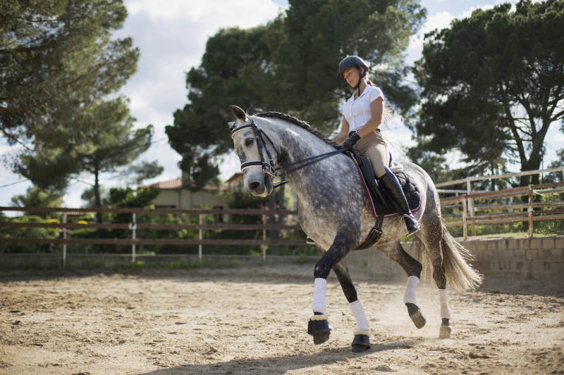 woman-riding-horse-ranch A person wearing a helmet and riding gear is riding a gray horse in an outdoor sandy arena, surrounded by wooden fencing and trees on a sunny day.