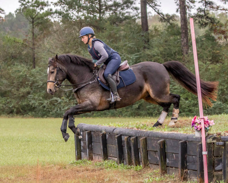 A rider wearing a helmet and safety vest guides a dark brown horse over a wooden jump outdoors, with trees and grass in the background.